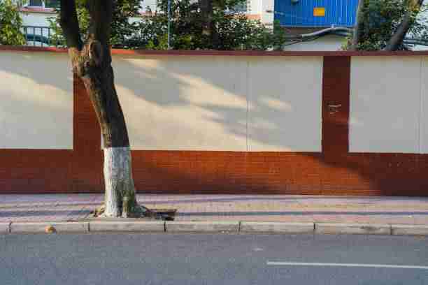 探花视频app对话内容真实还原｜互动实录片段拆解引起广泛共鸣