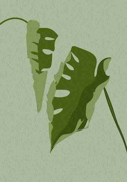 探花任务设定背后逻辑披露｜真实反应镜头集锦拍摄策略升级