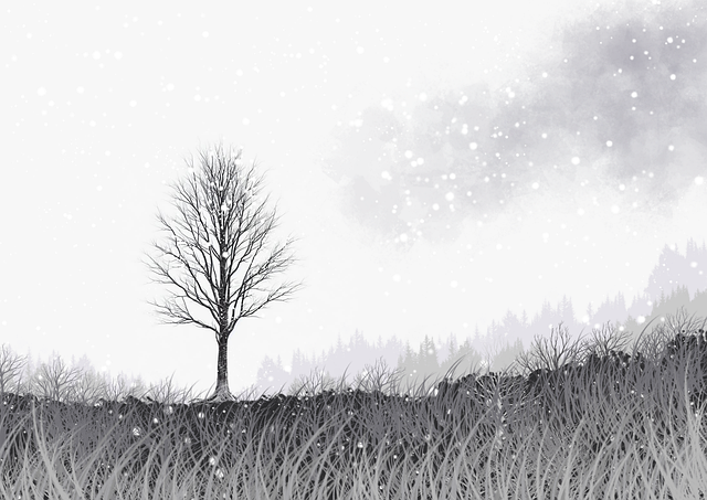 蘑菇影视官网用户转化路径优化报告｜多端同步播放流程新增行为模型