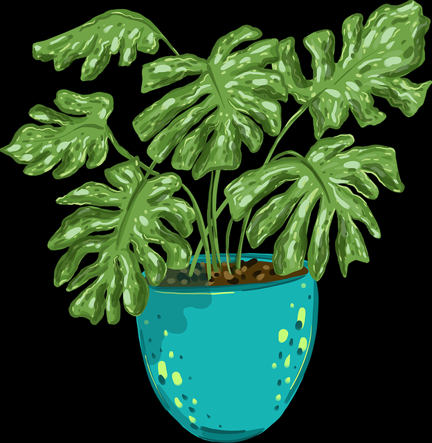 鉴黄师官网入口内容挑战升级｜平台内容审核体系面临更高识别标准