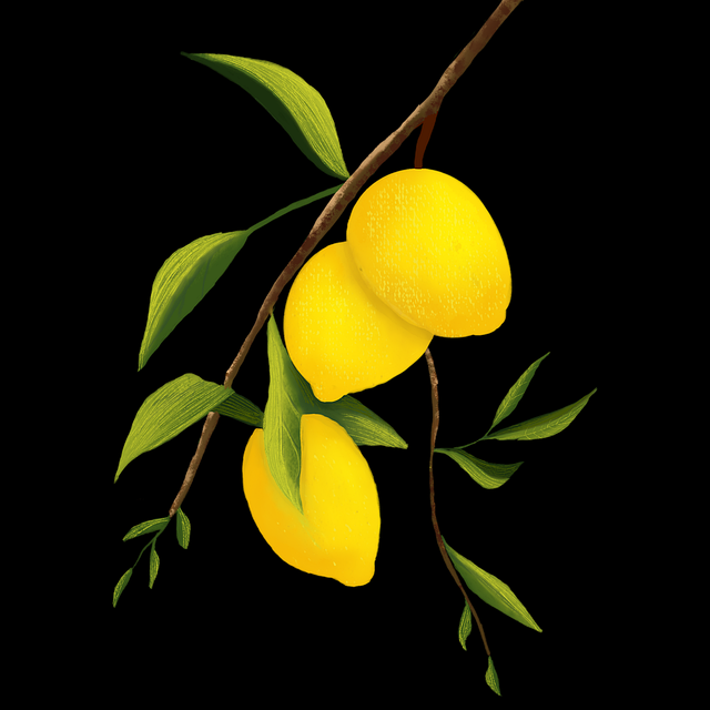 onlyfnas网址访问路径优化｜短内容分发节奏解析用户体验大提升