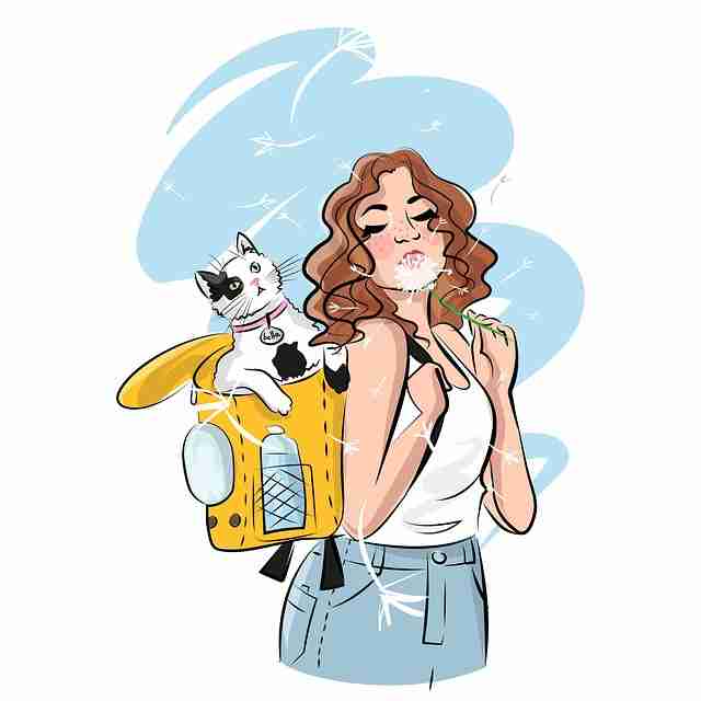 蘑菇视频电脑版智能推荐算法追踪|站内热播趋势追踪命中率显著提升