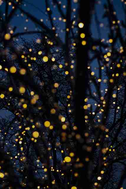 探花精选节目录制技术革新|热门事件还原剪辑视角体验倍感沉浸